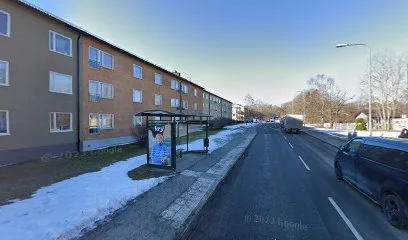 Backahagens skola